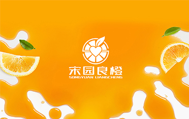 某良橙——宁夏LOGO设计